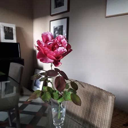 וילה Maison 3 Centre Ville, Jardin Et Bassin Privatifs מונפלייה