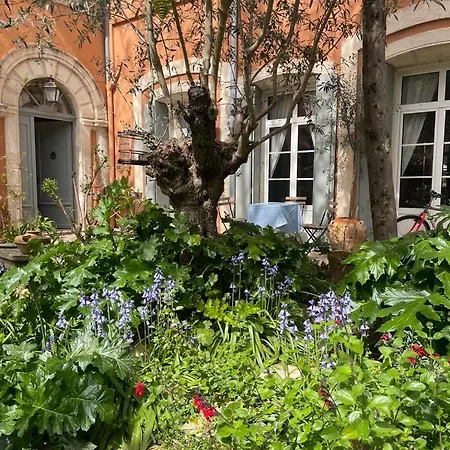 Maison 3 Centre Ville, Jardin Et Bassin Privatifs וילה *
