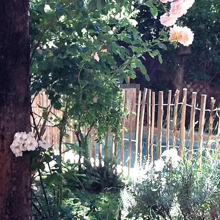 Maison 3 Centre Ville, Jardin Et Bassin Privatifs