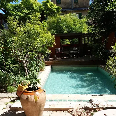 Maison 3 Centre Ville, Jardin Et Bassin Privatifs *