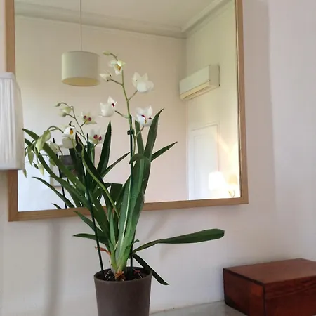 Maison 3 Centre Ville, Jardin Et Bassin Privatifs * Montpellier