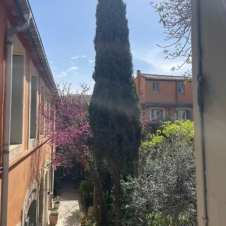 Maison 3 Centre Ville, Jardin Et Bassin Privatifs * Montpellier
