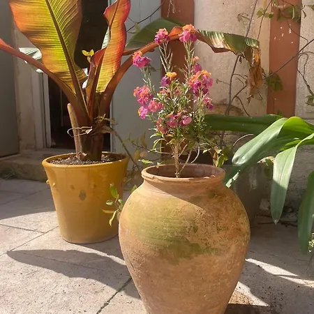 Villa Maison 3 Centre Ville, Jardin Et Bassin Privatifs *