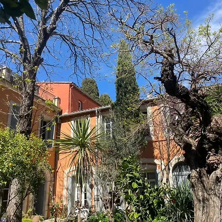 Maison 3 Centre Ville, Jardin Et Bassin Privatifs Montpellier