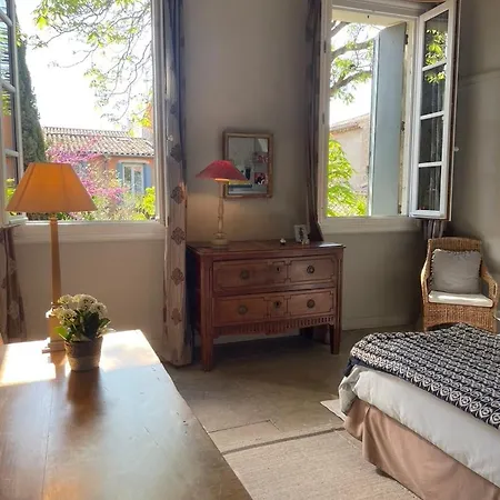 Villa Maison 3 Centre Ville, Jardin Et Bassin Privatifs