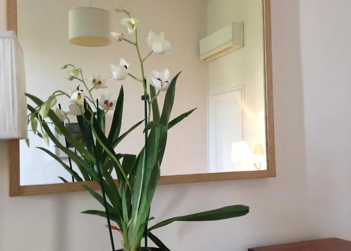 Maison 3 Centre Ville, Jardin Et Bassin Privatifs * Montpellier