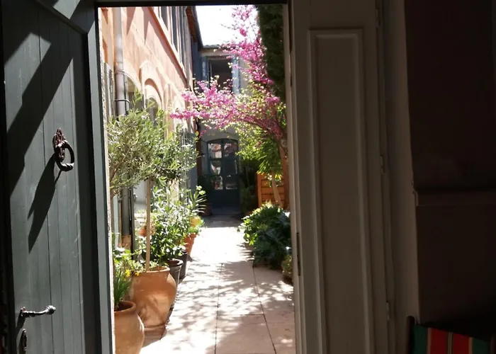 Maison 3 Centre Ville, Jardin Et Bassin Privatifs Vila