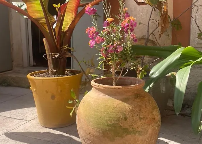Vila Maison 3 Centre Ville, Jardin Et Bassin Privatifs *