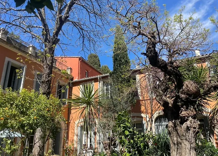 Maison 3 Centre Ville, Jardin Et Bassin Privatifs Montpellier
