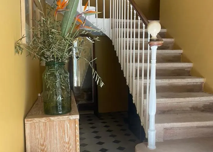 Maison 3 Centre Ville, Jardin Et Bassin Privatifs * Montpellier