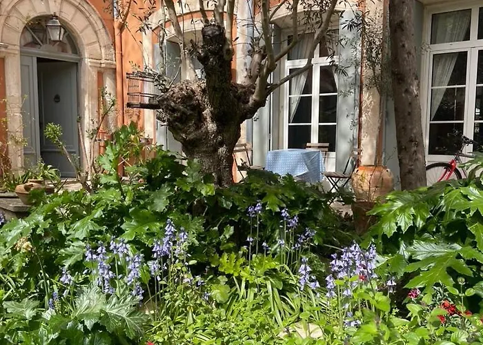 Maison 3 Centre Ville, Jardin Et Bassin Privatifs Vila *